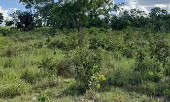 Imagem 5: Fazenda 27 alqueire