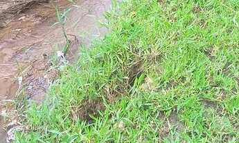 Imagem 6: Sitio em itaborai