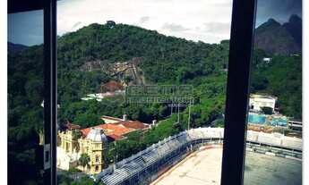 Imagem 7: Laranjeiras para locação