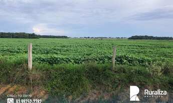 Imagem 4: Fazenda em exploração agrícola na região do Vale do Araguaia TO