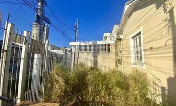 Imagem 4: São Paulo - Casa Padrão - VILA ROMANA