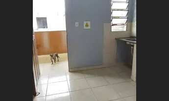 Imagem 4: Alugo apartamento climatizado