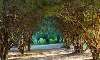 Imagem: Terreno - Tanquinho Velho - Jaguariúna