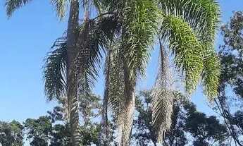 Imagem 2: Lotes em Nova Veneza SC, Condomínio fechado