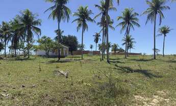 Imagem 4: Lindos terrenos próximos de São Gonçalo