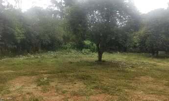 Imagem 4: Terreno de 3 mil metros em zona urbana ao lado do Parque Prado