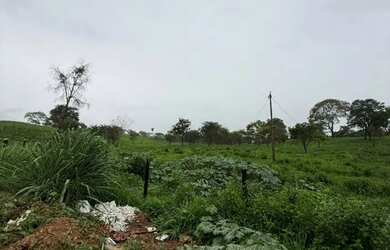 Imagem 6: 70.000m² | Fundo com o Jardim Petrópolis