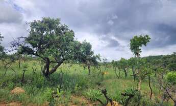 Imagem 2: Fazendinha sem entrada e sem consulta ao SPC - Cordisbusgo MG