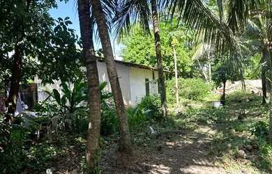 Imagem 6: Casa em Soure Casa com 2 dormitórios