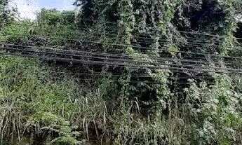 Imagem 7: Área à venda, 2850 m² por R$ 2.000.000,00 - Fonseca - Niterói/RJ