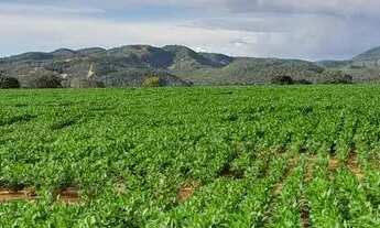 Imagem 4: Fazenda 208 Algueires em Colinas/GO