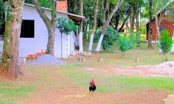 Imagem 5: CHÁCARA A VENDA EM BALSA NOVA - PR
