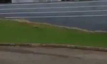 Imagem 6: Terreno de 529 m² à venda no Condomínio Itatiba Country Club Itatiba/SP REF: TE0015