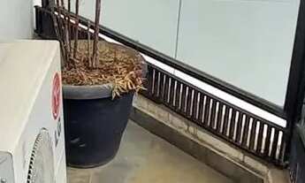 Imagem 5: Pinheiros - 3 Dormitórios - suíte - Lazer - Metrô