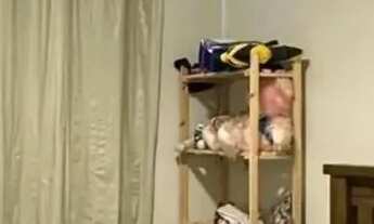 Imagem 6: Jardim Presidente