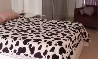 Imagem 7: Apartamento Erechim RS todo mobiliado