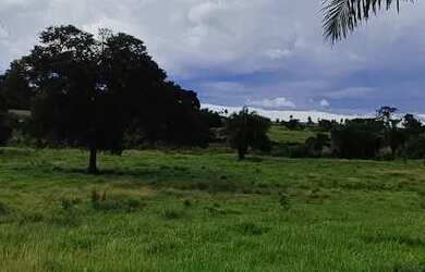 Imagem 2: Fazenda em Pontalina