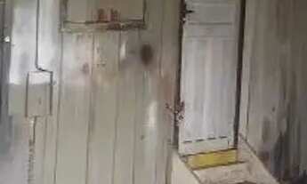 Imagem 6: Blumenau - Galpão/Depósito/Armazém - Escola Agricola