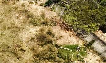 Imagem 5: VENDA DE 3 LOTES NO JOÃO BRAZ GOIÂNIA