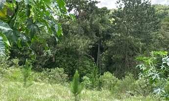 Imagem 4: 2 terrenos um ao lado do outro - 1600 metros quadrados em Lageadinho - Ibiúna - SP