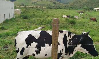 Imagem: Terreno 4mil m² em São João de Jaboti