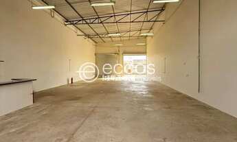 Imagem 4: Galpão para aluguel, GOIÁS - ARAGUARI/MG