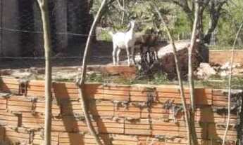 Imagem 3: Terreno a venda Terreno / lote com venda por R$55.000