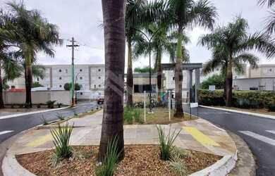 Imagem: Aluguel de Apartamento padrão de 2 dormitórios