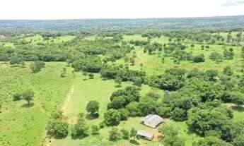 Imagem: Vendo uma fazenda de 72 hectares na região