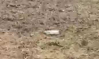 Imagem 3: Terreno no Magalhães, em frente ao clube águas claras