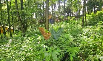 Imagem 6: Terreno urbano de 11.000 m com nascente e bosque a 14 km de Curitiba