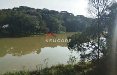 Imagem 6: Chácara em Área Rural - Área Rural de São José dos Pinhais - São José dos Pinhais/PR