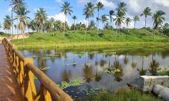 Imagem 3: Sunset Frente Norte quitado - Aceito oferta - Rainha dos Lotes