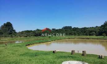 Imagem 5: Chácara em Rua Pedro Buher - Agarau - São José dos Pinhais/PR