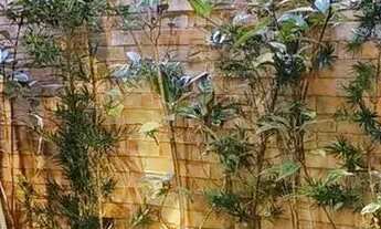 Imagem 4: EXCLUSIVIDADE E PRIVACIDADE: CASA COM PISCINA