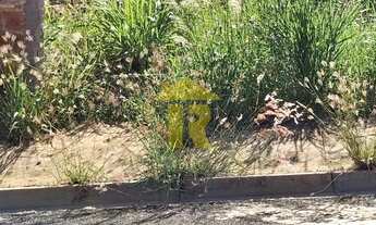 Imagem 3: Terreno à venda em Mirassol-SP - Residencial Mais Parque Mirassol - 200,00 m² de área