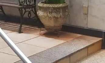 Imagem 6: Imóvel para aluguel possui 130 metros quadrados com 3 quartos