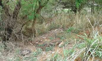 Imagem 5: Terreno Padrão em Bauru