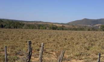 Imagem 6: Fazenda a venda em Uruana - GO