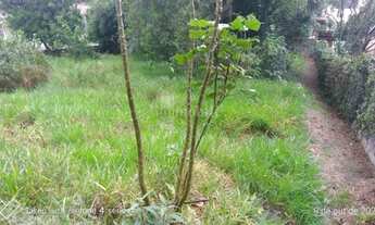 Imagem: Terreno com 740 metros em condomínio fechado/Cotia