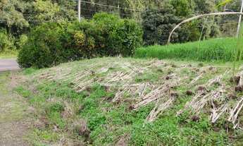 Imagem 4: Amplo terreno de 1.366,20 m² localizado em Picada Café na Serra Gaúcha