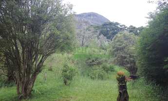 Imagem 5: Samambaia, casa com amplo terreno