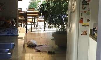 Imagem 6: Casa de Condominio em Green Valley Edge City - São José do Rio Preto