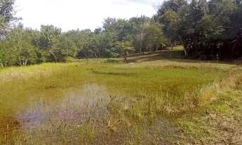 Imagem 5: COD:2101 Linda Chácara no Bairro dos Afonsos