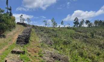 Imagem 4: Lote/Terreno para venda lançamento