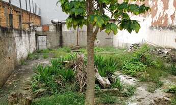 Imagem: TERRENO LOCALIZADO HÁ 50 METROS DA AV