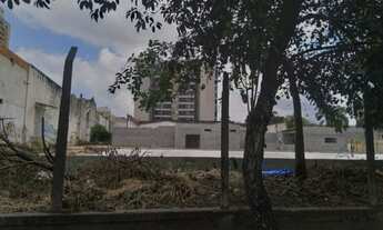 Imagem 3: Terreno para Locação, Silveira, Santo André, SP Terreno plano, contendo 2392m² em Santo An