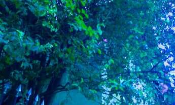 Imagem 4: Sobrado para aluguel tem 200 metros quadrados com 4 quartos em Bela Vista - São Paulo - SP