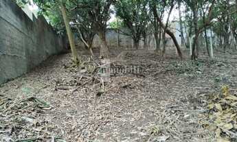 Imagem 2: FAZENDINHA - PARQUE DAS FIGUEIRAS