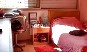 Imagem 5: CORAÇÃO DE PERDIZES